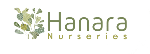 Hanara Nurseries